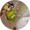 Jozef B. profile picture